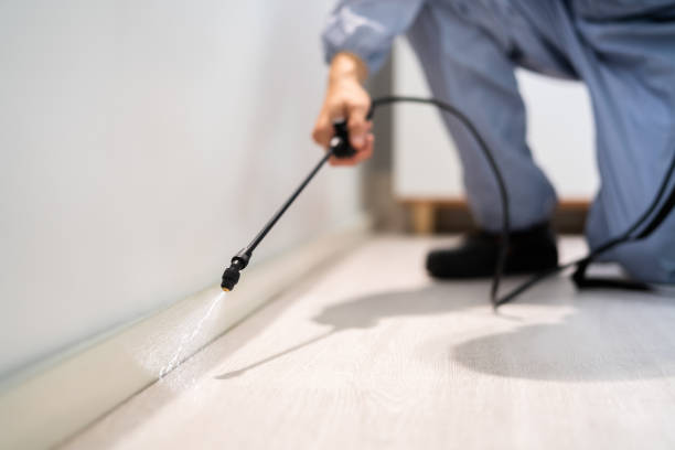 Bed Bug Pre-Treatment Preparation Assessment in Sultana