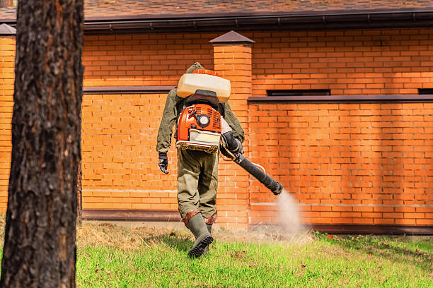 Bed Bug Clearance Verification and Documentation in Sultana